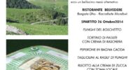 15° capitolo pagina 4